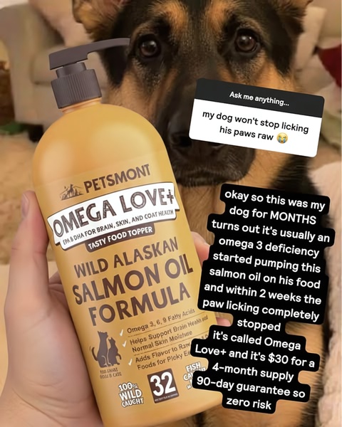This static ad features a user-generated style image of a dog owner holding a bottle of salmon oil, paired with text overlay explaining a common pet health problem and its resolution.
